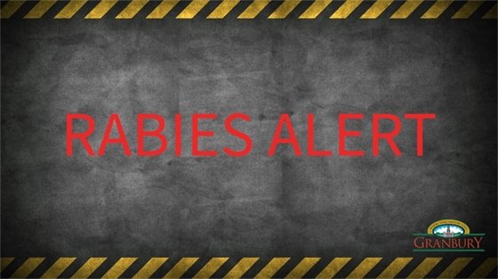 Rabies Alert