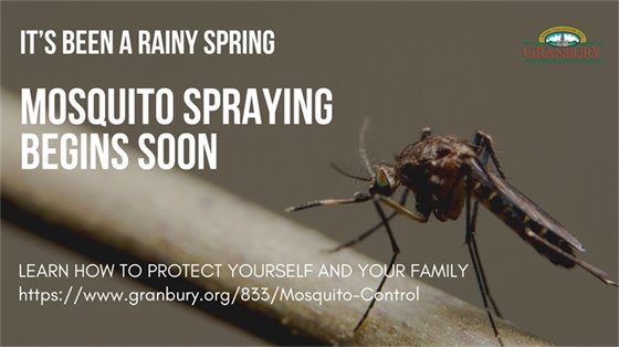 Mosquito Spraying