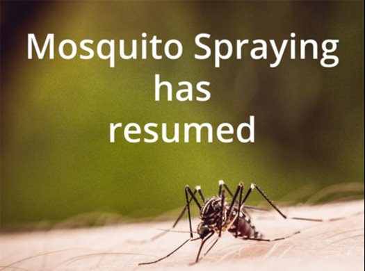 Mosquito Spraying has resumed