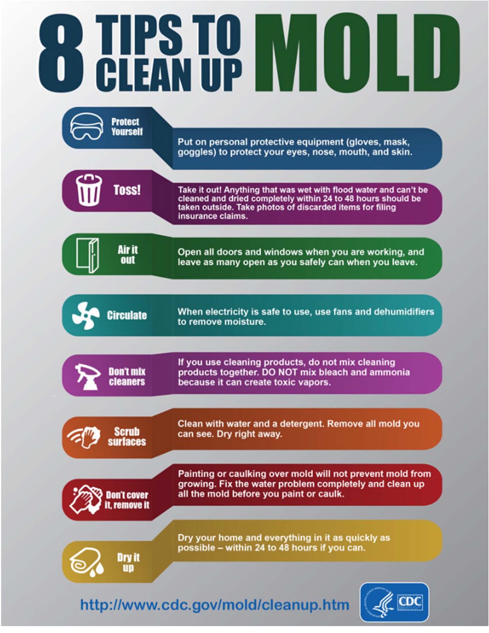 2-25-2021 FEMA Mold Flier